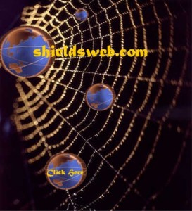 spiderwebjpeg2